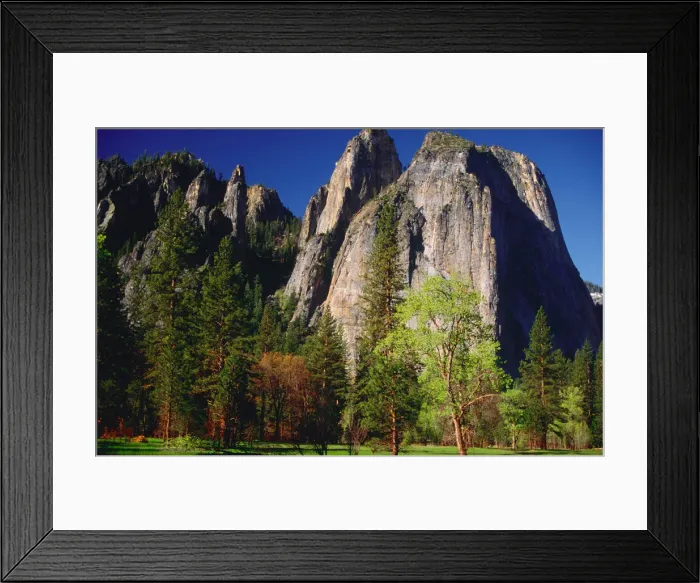 Framed Print : Spring-time in the Yosemite National Park, California, Western United States of America Framed Print : Spring-time in the Yosemite National Park, California, Western United States of America
