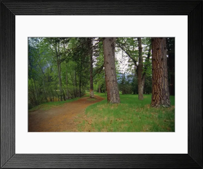 Framed Print : Spring-time in the Yosemite National Park, California, southern United States of America Framed Print : Spring-time in the Yosemite National Park, California, southern United States of America