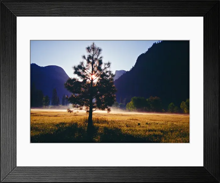 Framed Print : Spring-time in the Yosemite National Park, California, southern United States of America Framed Print : Spring-time in the Yosemite National Park, California, southern United States of America
