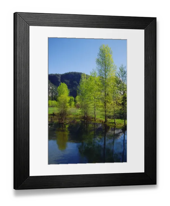 Framed Print : Spring-time in the Yosemite National Park, California, southern United States of America Framed Print : Spring-time in the Yosemite National Park, California, southern United States of America