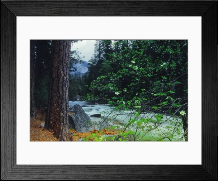 Framed Print : Spring-time in the Yosemite National Park, California, southern United States of America