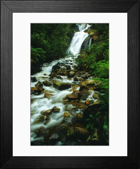 Framed Print : Stephensons waterfall near Marysville, Victoria Australia Framed Print : Stephensons waterfall near Marysville, Victoria Australia