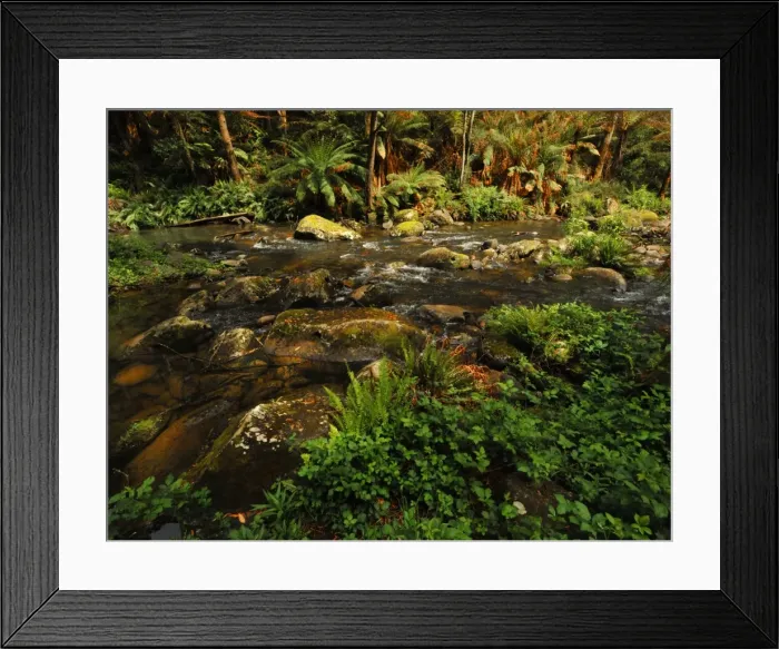 Framed Print : Stephensons creek, Otway Ranges, Victoria, Australia