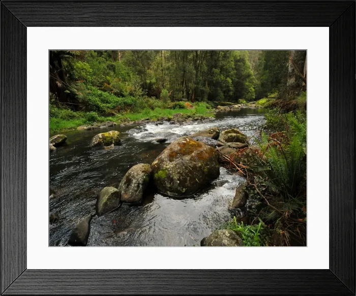 Framed Print : Stephensons creek, Otway Ranges, Victoria, Australia Framed Print : Stephensons creek, Otway Ranges, Victoria, Australia