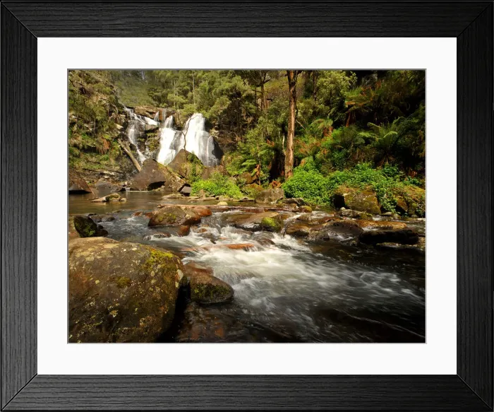 Framed Print : Stephensons creek, Otway Ranges, Victoria, Australia