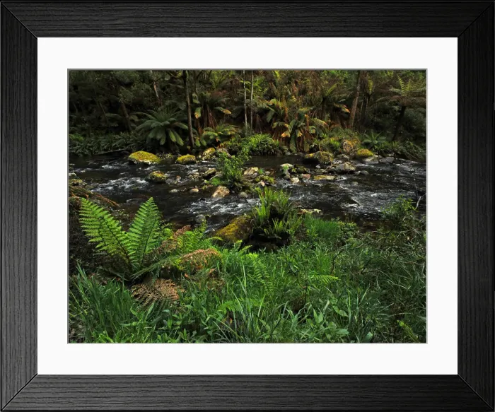 Framed Print : Stephensons creek, Otway Ranges, Victoria, Australia