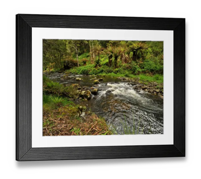 Framed Print : Stephensons creek, Otway Ranges, Victoria, Australia