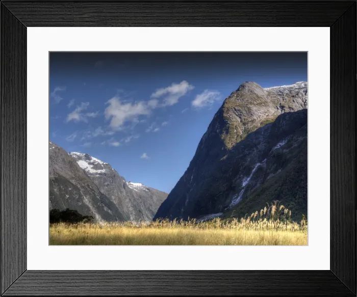 Framed Print : The Milford track, South Island, New Zealand