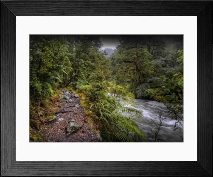 Framed Print : The Milford track, South Island, New Zealand Framed Print : The Milford track, South Island, New Zealand