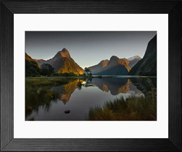 Framed Print : Milford Sound, South Island, New Zealand Framed Print : Milford Sound, South Island, New Zealand