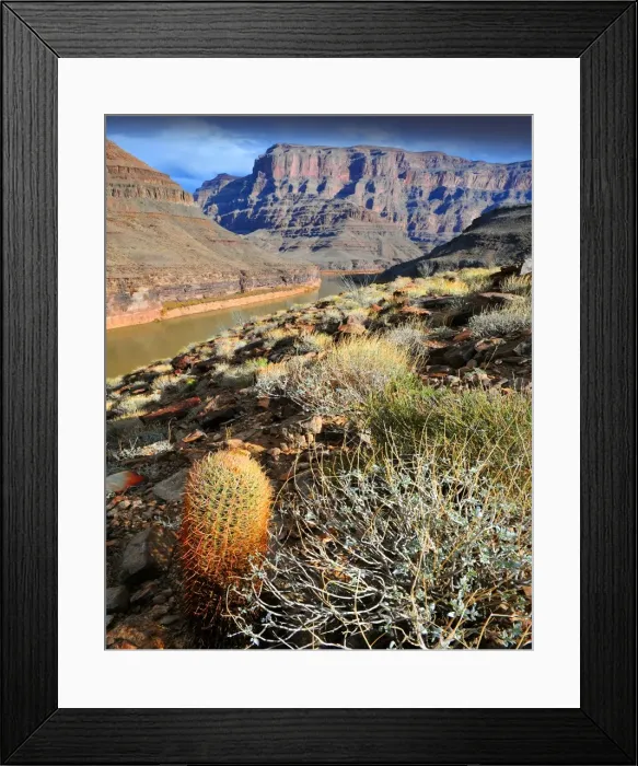 Framed Print : The Colorado river, Arizona, United States of America Framed Print : The Colorado river, Arizona, United States of America