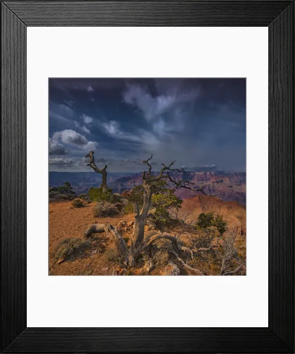 Framed Print : Grand Canyon, Arizona, United States of America Framed Print : Grand Canyon, Arizona, United States of America