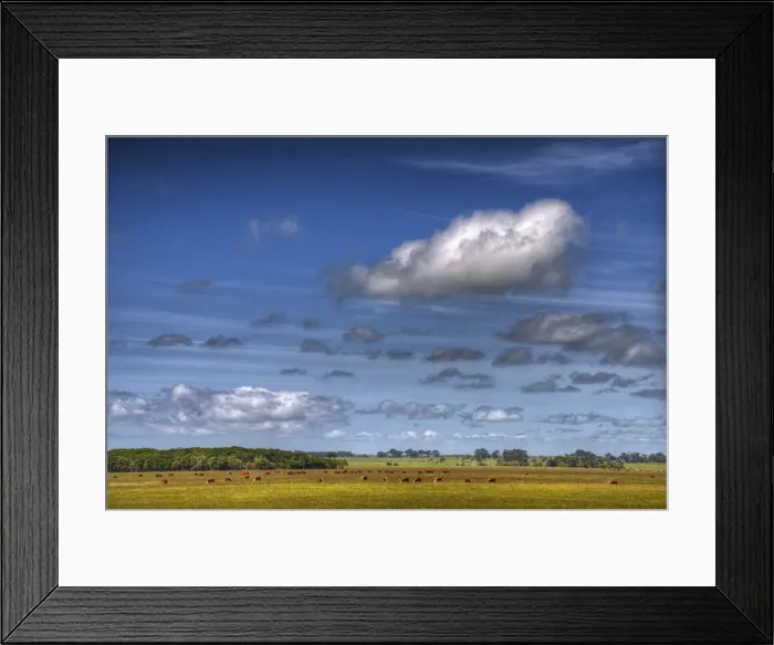Framed Print : Summertime on King Island, Bass Strait, Tasmania, Australia