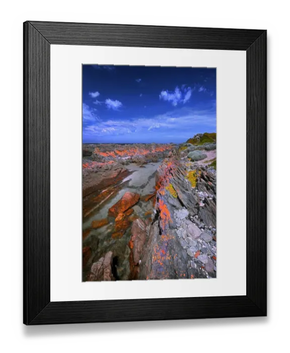 Framed Print : Summertime on King Island, Bass Strait, Tasmania, Australia Framed Print : Summertime on King Island, Bass Strait, Tasmania, Australia
