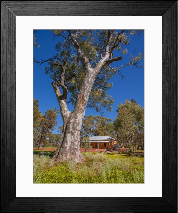 Framed Print : Wilpena pound, Flinders Ranges, outback South Australia Framed Print : Wilpena pound, Flinders Ranges, outback South Australia