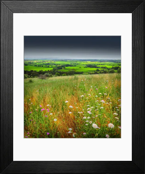 Framed Print : McClarenvale vineyards, Fleurieu Peninsula South Australia
