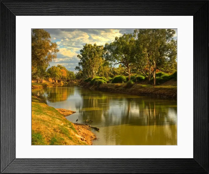 Framed Print : Winter afternoon on the banks of the Cooper creek, outback South Australia Framed Print : Winter afternoon on the banks of the Cooper creek, outback South Australia