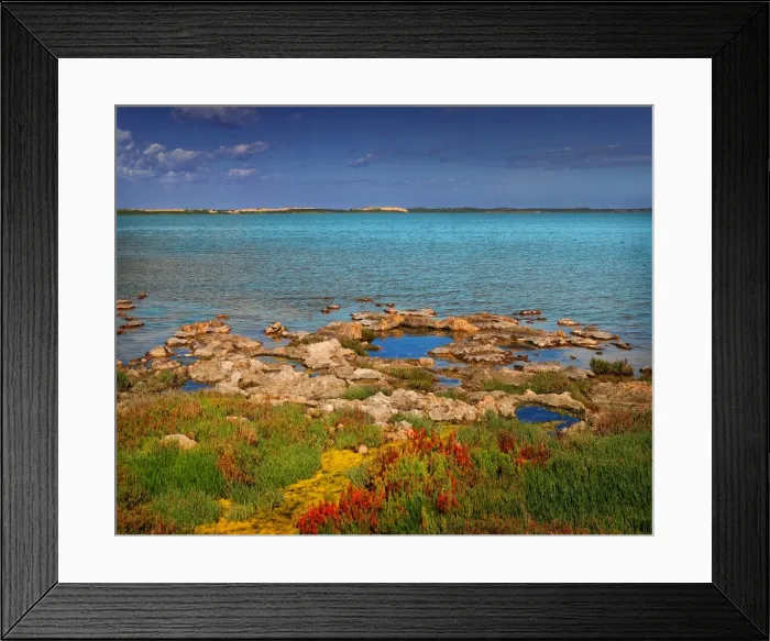 Framed Print : View of the Koorong, South Australia