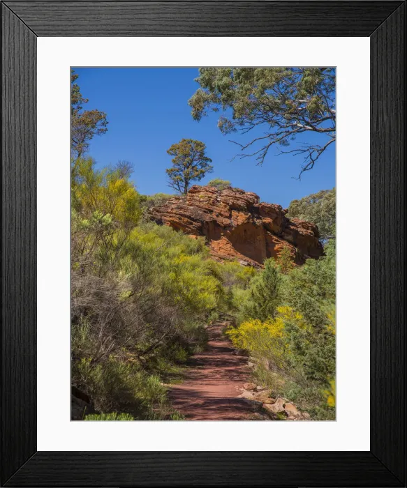 Framed Print : Wilpena canyon, Flinders Ranges, outback South Australia Framed Print : Wilpena canyon, Flinders Ranges, outback South Australia