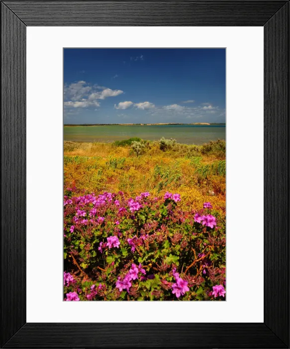 Framed Print : View of the Koorong, South Australia Framed Print : View of the Koorong, South Australia