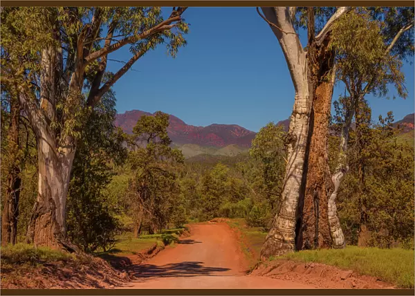 Road in the Flinders Ranges South Australia
