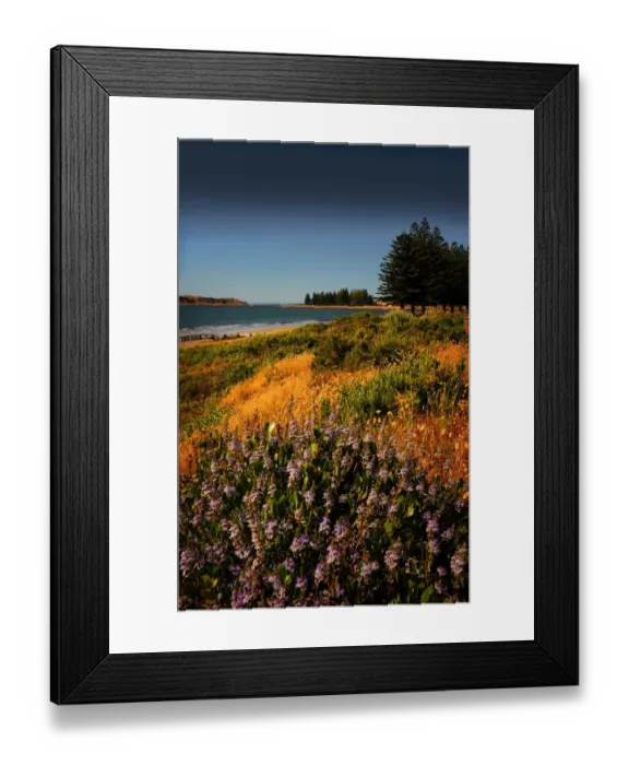 Framed Print : Victor Harbour beach, South Australia