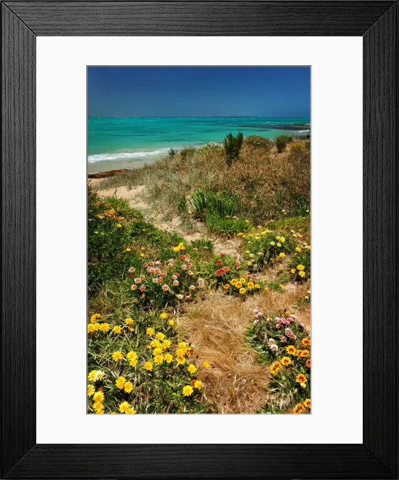 Framed Print : Coastline at Beachport, South Australia