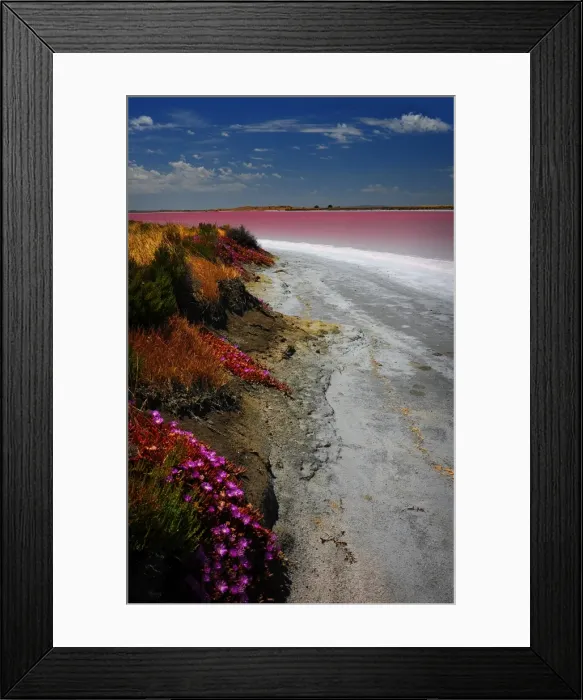 Framed Print : Pink Lakes Meningie, South Australia