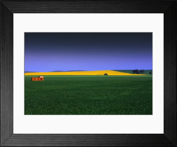 Framed Print : Wheat fields Burra South Australia