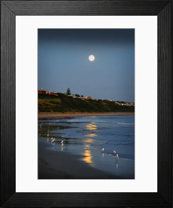 Framed Print : Rising moon Victor Harbour Fleurieu Peninsula South Australia Framed Print : Rising moon Victor Harbour Fleurieu Peninsula South Australia