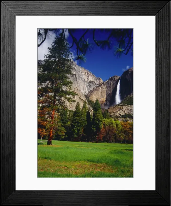 Framed Print : Yosemite National Park, California, western United States of America Framed Print : Yosemite National Park, California, western United States of America