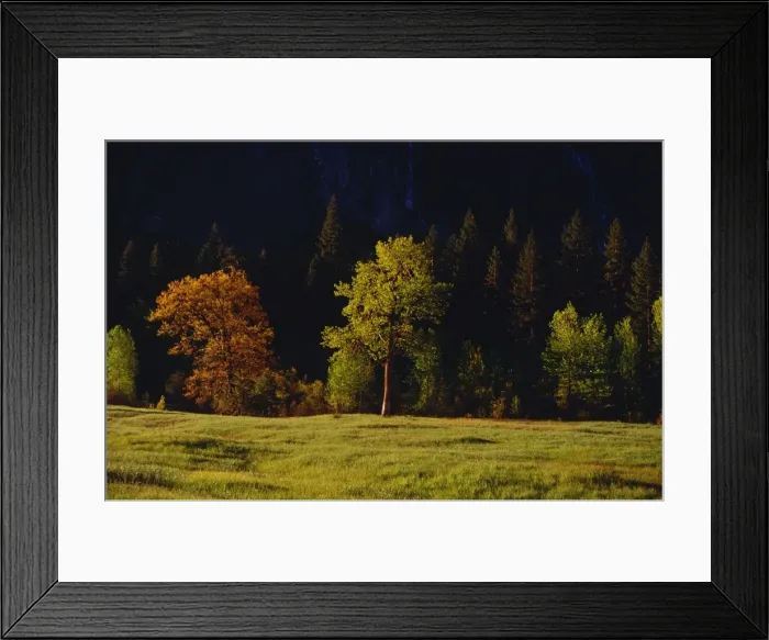 Framed Print : Yosemite National Park, California, western United States of America Framed Print : Yosemite National Park, California, western United States of America