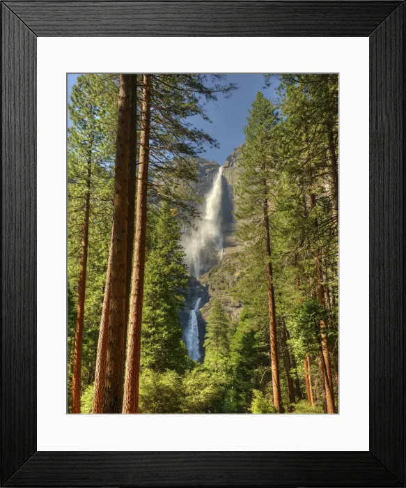 Framed Print : Yosemite National Park, California, western United States of America Framed Print : Yosemite National Park, California, western United States of America