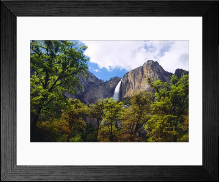 Framed Print : Yosemite National Park, California, western United States of America Framed Print : Yosemite National Park, California, western United States of America