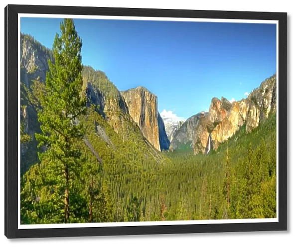Yosemite National Park, California, western United States of America