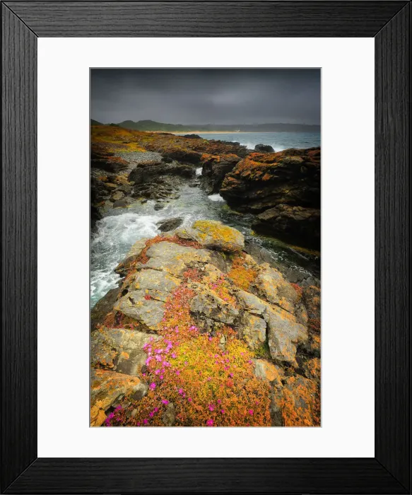 Framed Print : Seal bay and the coastline in the south of King Island, Bass Strait, Tasmania, Australia