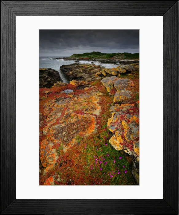 Framed Print : Seal bay and the coastline in the south of King Island, Bass Strait, Tasmania, Australia