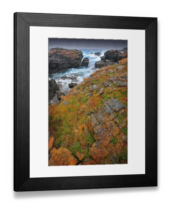Framed Print : Seal bay and the coastline in the south of King Island, Bass Strait, Tasmania, Australia
