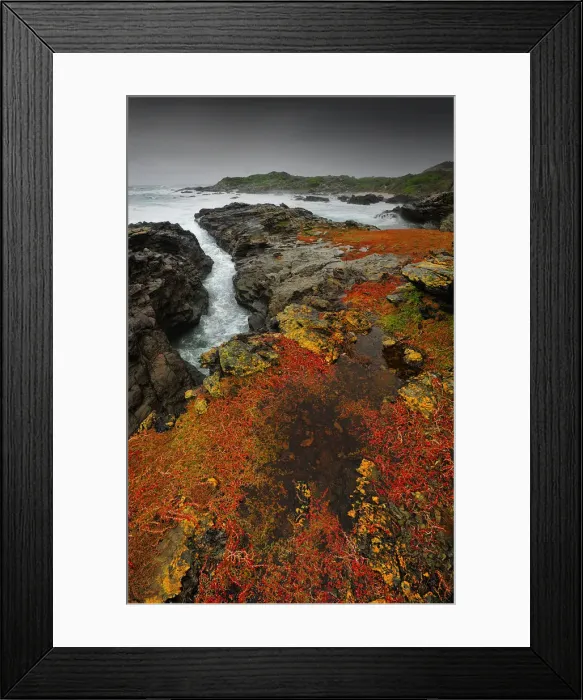 Framed Print : Seal bay and the coastline in the south of King Island, Bass Strait, Tasmania, Australia Framed Print : Seal bay and the coastline in the south of King Island, Bass Strait, Tasmania, Australia