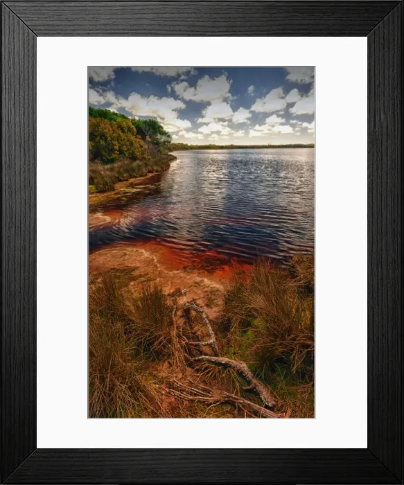 Framed Print : Sea Elephant bay, east coastline of King Island Bass Strait, Tasmania, Australia Framed Print : Sea Elephant bay, east coastline of King Island Bass Strait, Tasmania, Australia