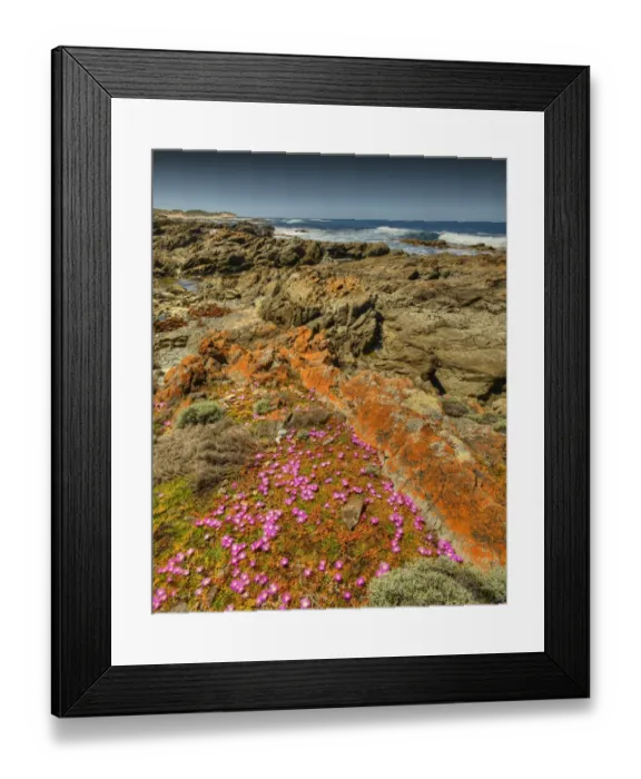Framed Print : Seal bay and the coastline in the south of King Island, Bass Strait, Tasmania, Australia