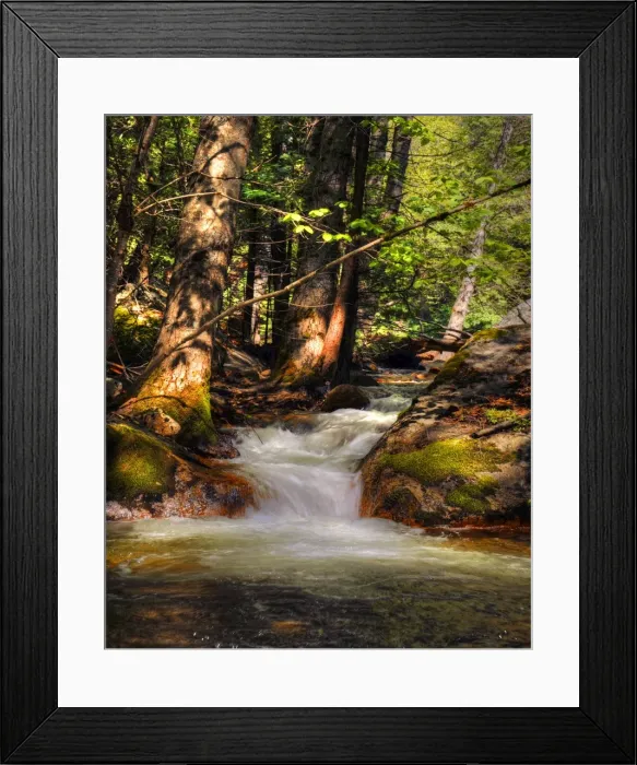 Framed Print : A view of the Merced River in Yosemite national Park, California, USA