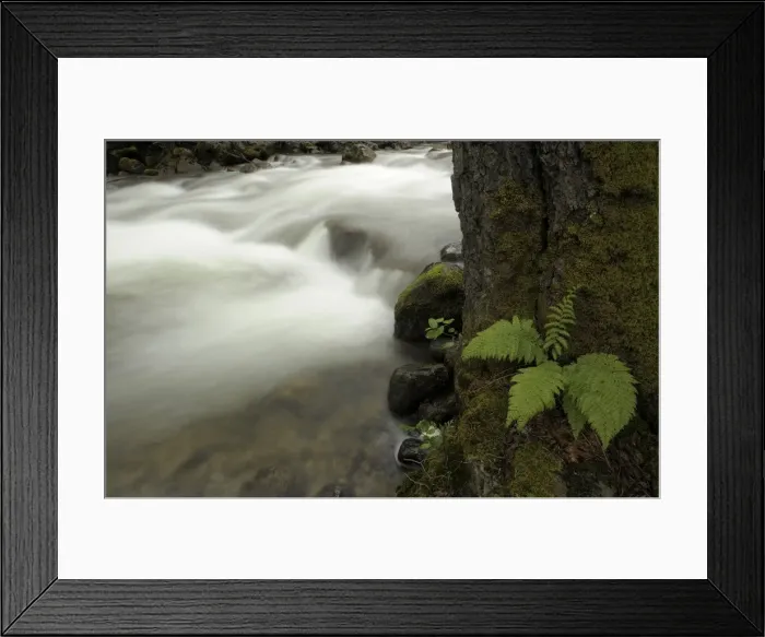 Framed Print : A view of the Merced River in Yosemite national Park, California, USA