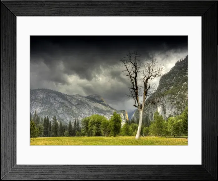 Framed Print : The meadow at Yosemite national park, California, USA