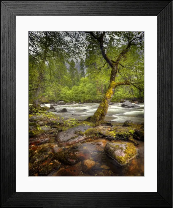 Framed Print : A view of the Merced River in Yosemite national Park, California, USA