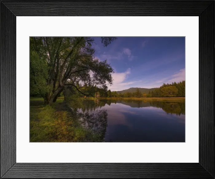 Framed Print : Leggett reserve, northern California, USA Framed Print : Leggett reserve, northern California, USA