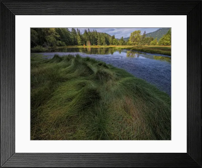 Framed Print : Leggett reserve, northern California, USA Framed Print : Leggett reserve, northern California, USA