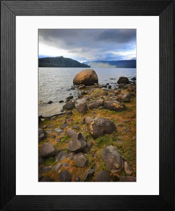 Framed Print : The shoreline of Lake St. Clair in the national park, central highlands of Tasmania