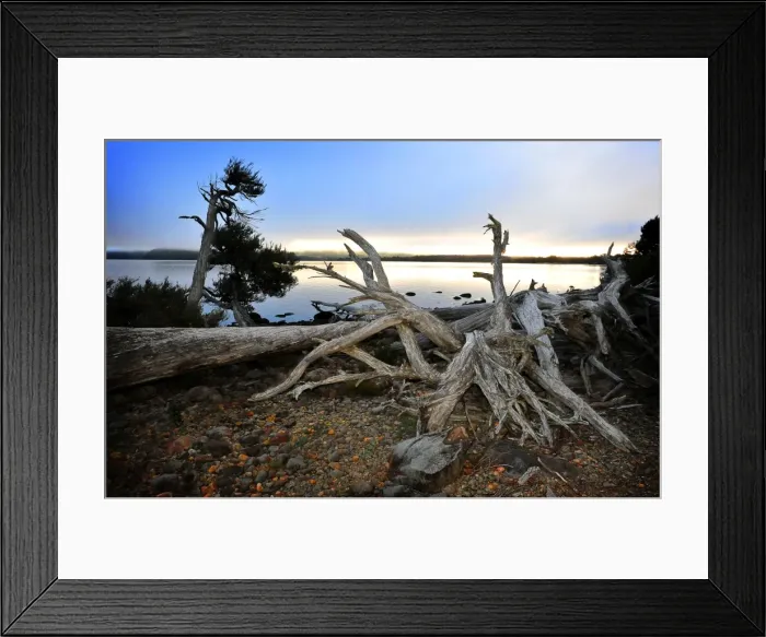 Framed Print : The shoreline of Lake St. Clair in the national park, central highlands of Tasmania