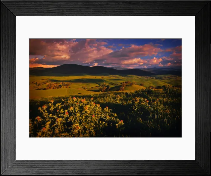 Framed Print : Late afternoon light sweeps across the rolling countryside near Tooma, northern Victoria Framed Print : Late afternoon light sweeps across the rolling countryside near Tooma, northern Victoria